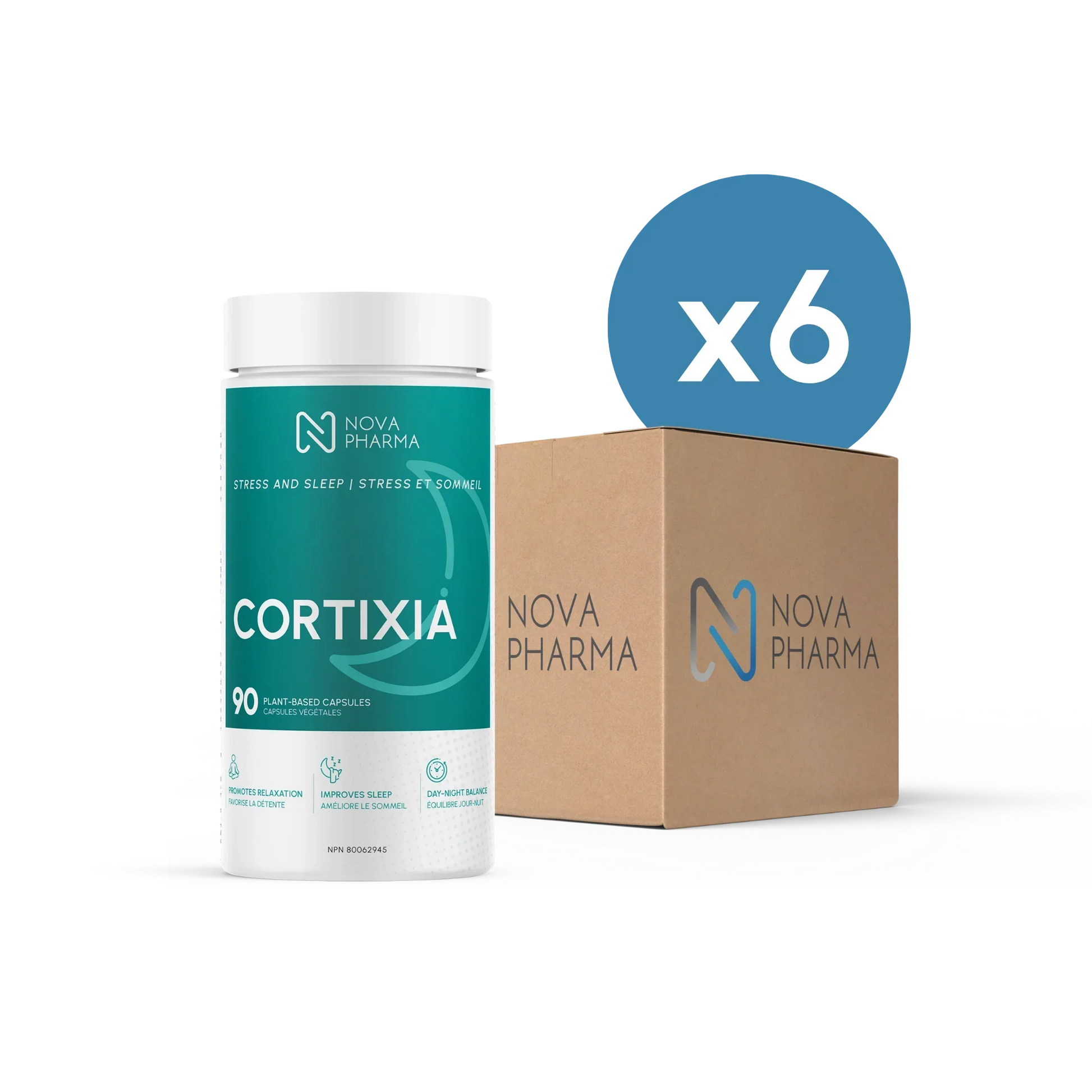 BOX OF 12 | Cortixia