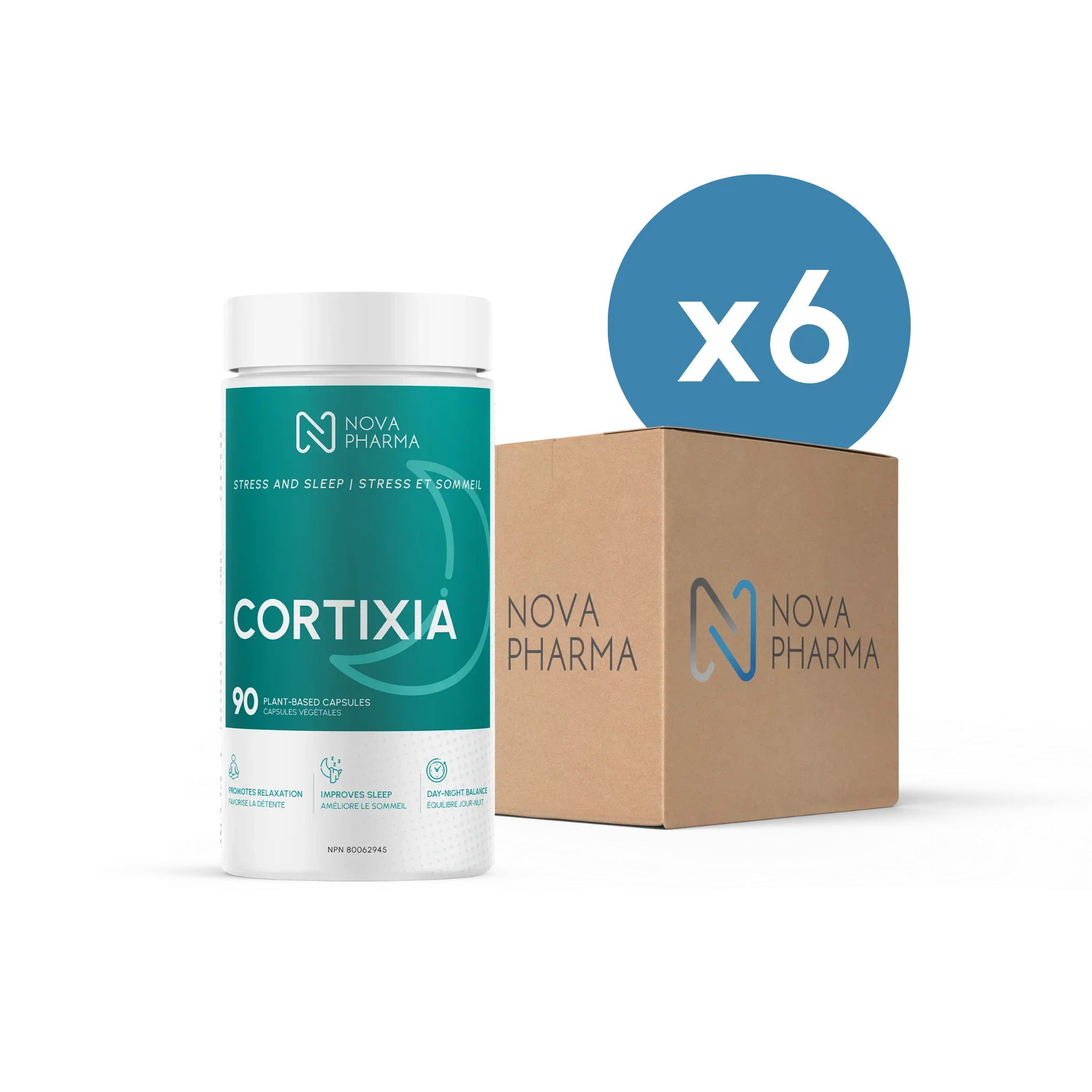 BOX OF 12 | Cortixia